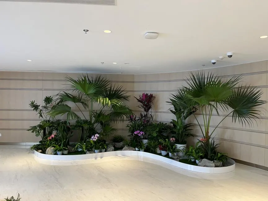 领略宁波江北盆景租赁设计的独特魅力